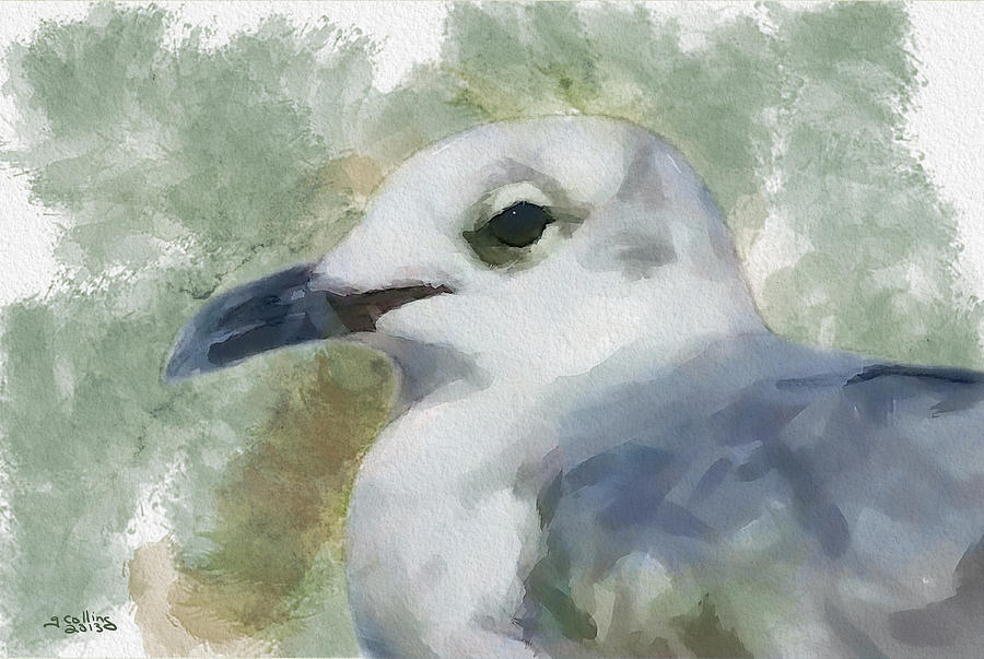 Seagull Closeup Painting by Greg Collins