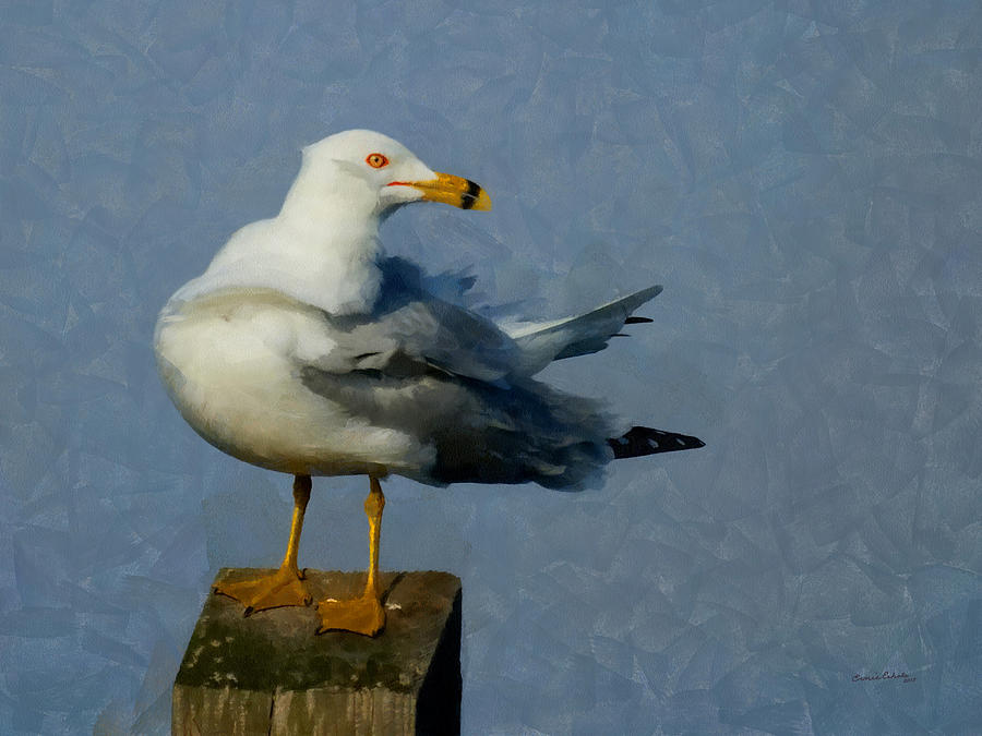 Seagull Digital Painting Digital Art by Ernest Echols