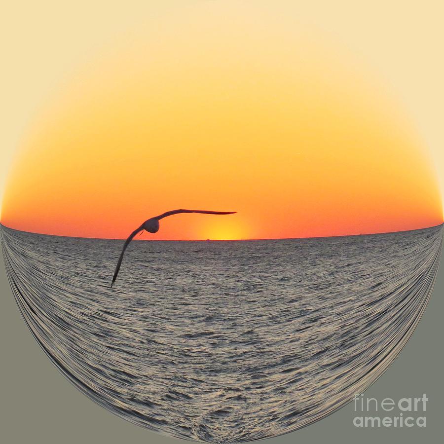 Seagull Flying into Sunset Photograph by Scott Cameron