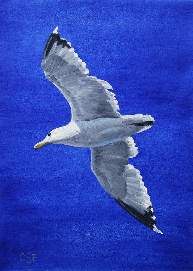 Seagull in Flight Painting by Crista Forest