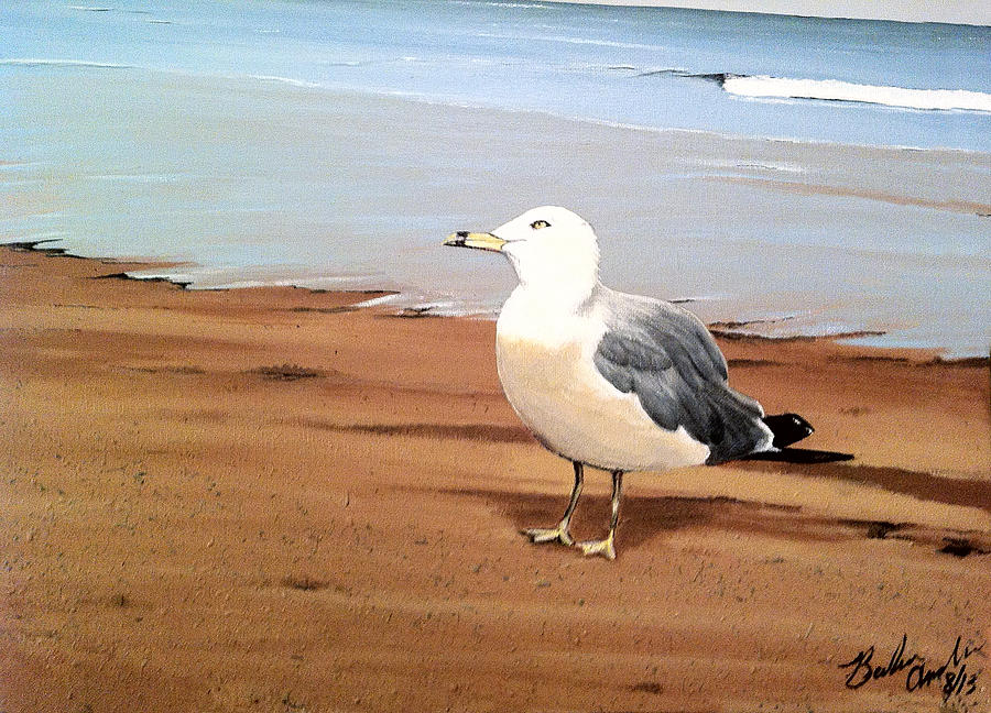 Seagull in Love Painting by Barbara Andrews