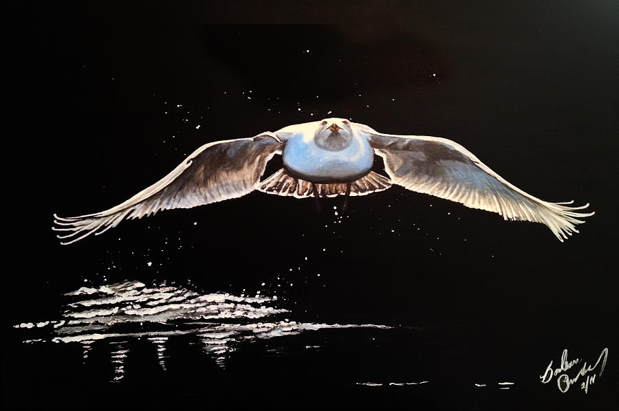 Seagull in the Moonlight Painting by Barbara Andrews