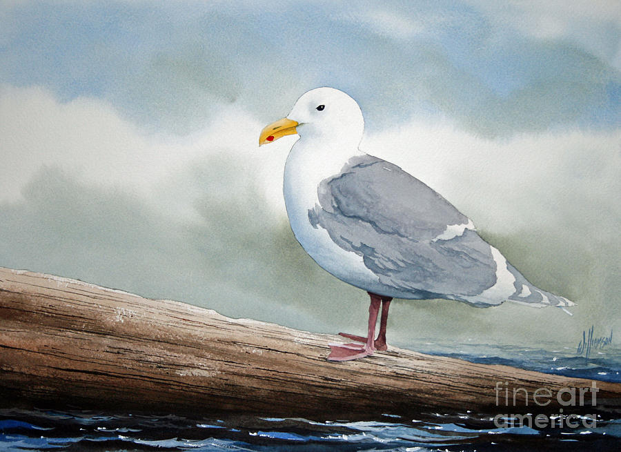 Seagull Painting by James Williamson
