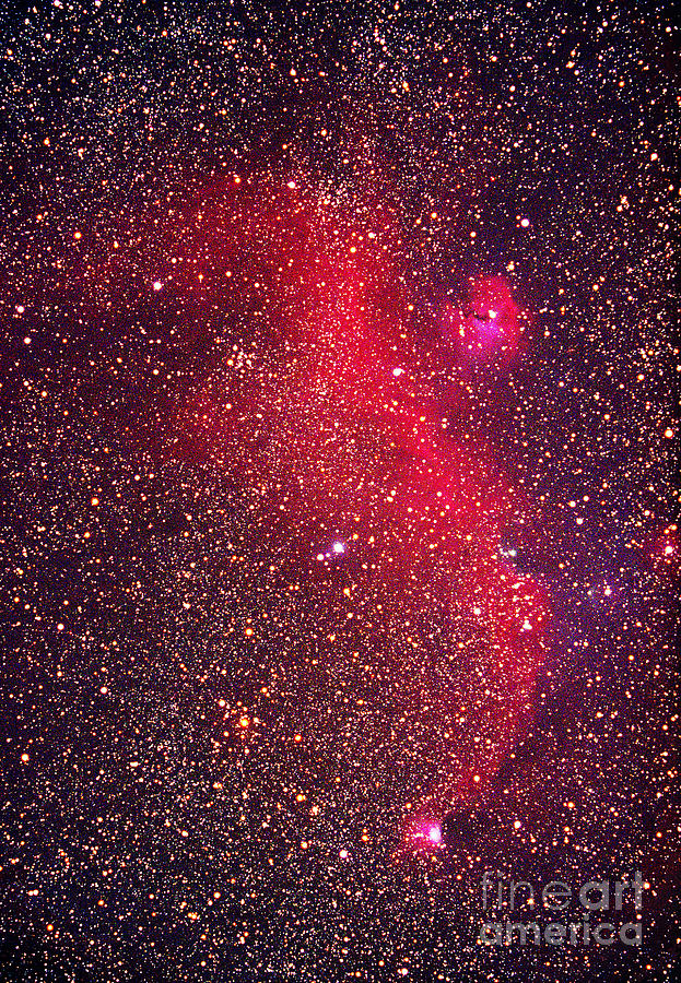 Seagull Nebula Photograph by Chris Cook