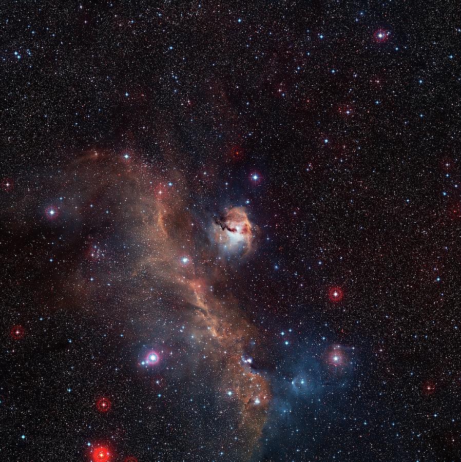 Seagull Nebula Photograph by Digitized Sky Survey 2/european Southern Observatory