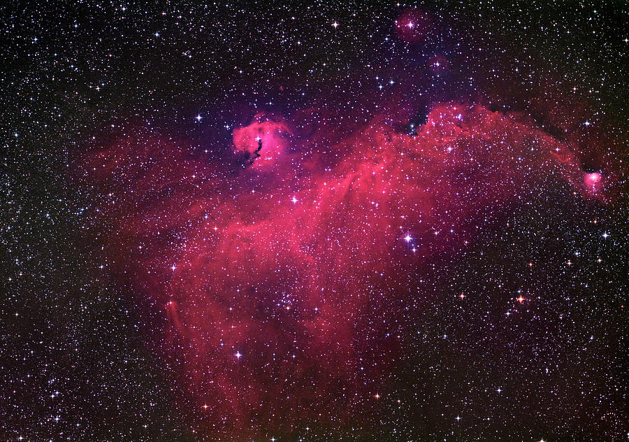 Seagull Nebula Photograph by Robert Gendler/science Photo Library
