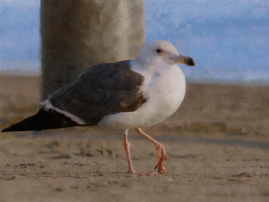 Seagull on the beach Digital Art by Ernest Echols