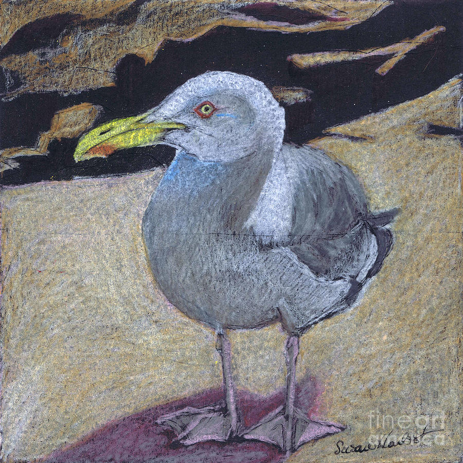 Seagull on the Rocks Painting by Susan Herbst
