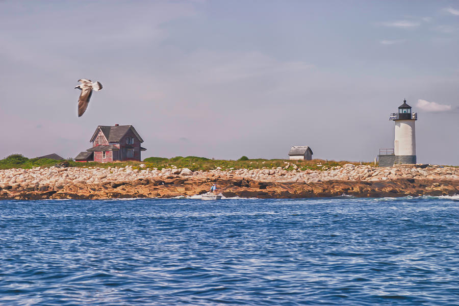 Seagull Over Straitsmouth Lighthouse Photograph