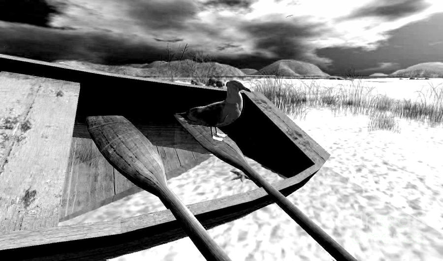 Seagull Rowing Digital Art by Wild Rose Studio