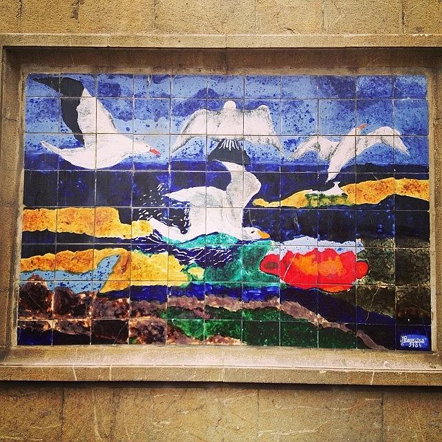 Seagull Photograph - #seagull #street #mural In #palma by Balearic Discovery