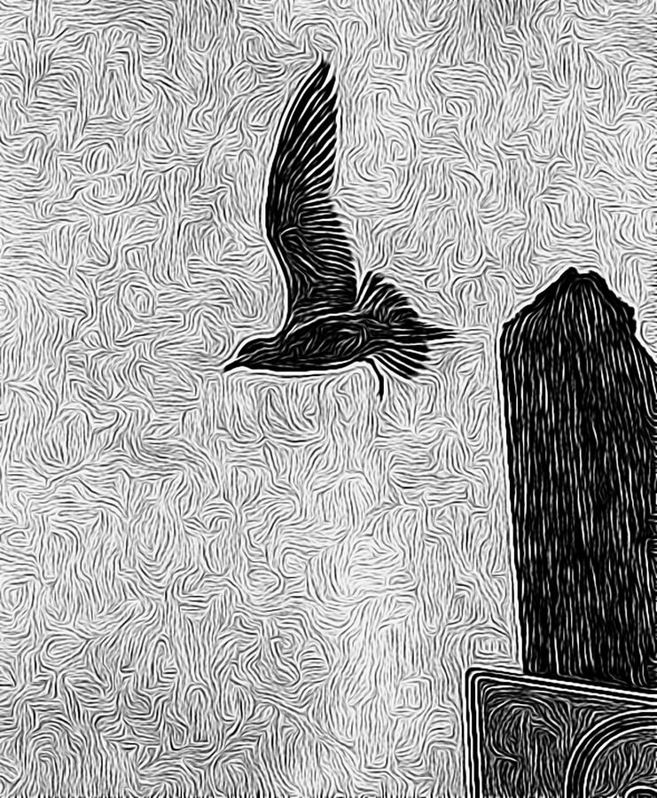 Seagull Taking Flight Digital Art