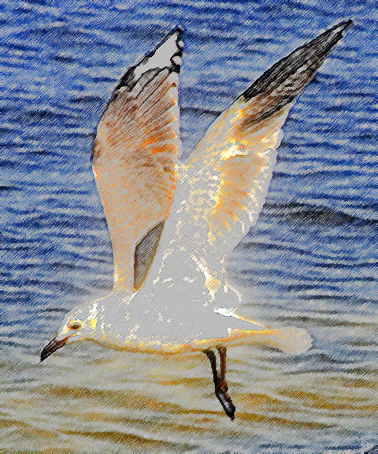 Seagull Painting - Seagull Flying  by David Lee Thompson