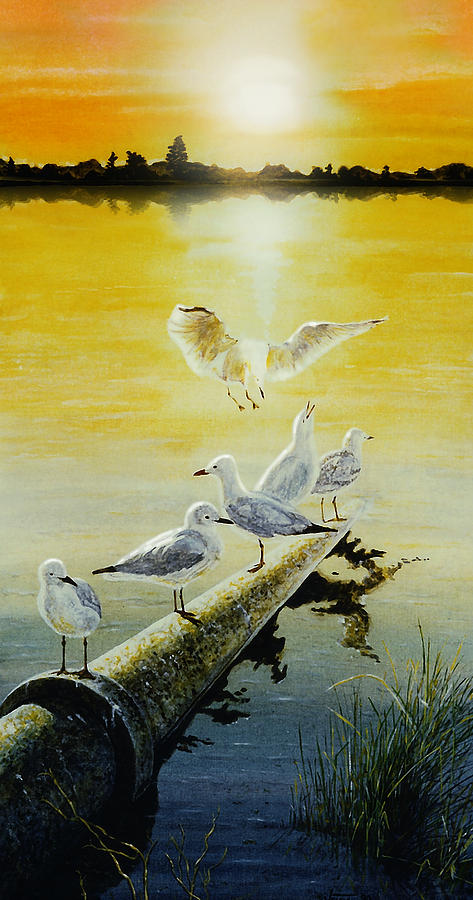 Seagulls at Lake Monger Painting by Hartmut Jager