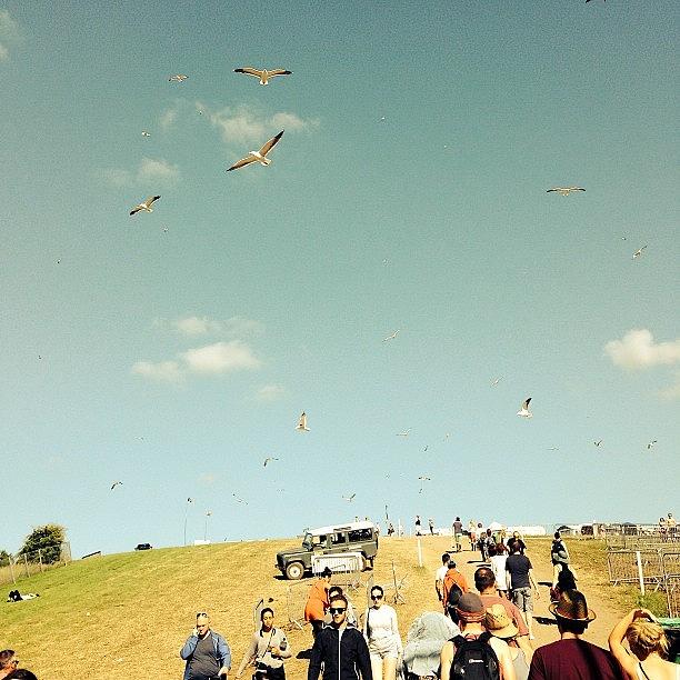 Seagulls Circling The Hill Of Death Photograph by Chris Nice