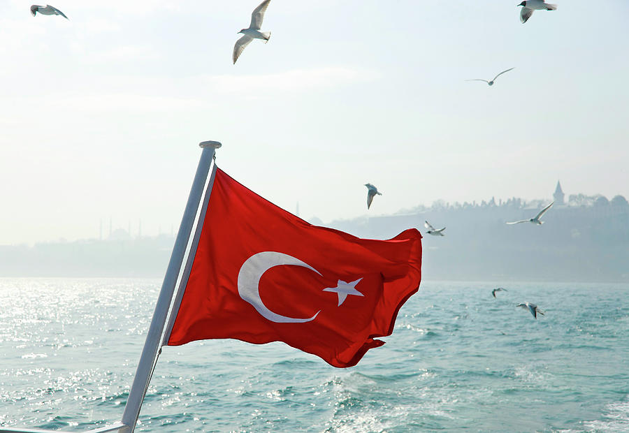 Seagulls Flying Over Turkey Flag Photograph by Henglein And Steets