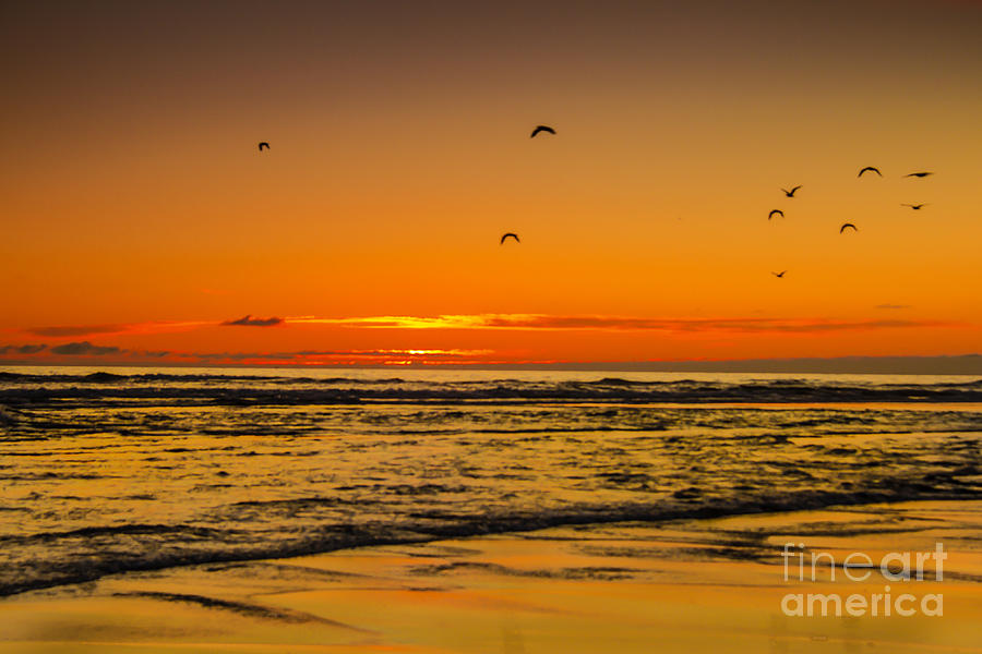 Seagulls Flying Sunset Photograph by Robert Bales