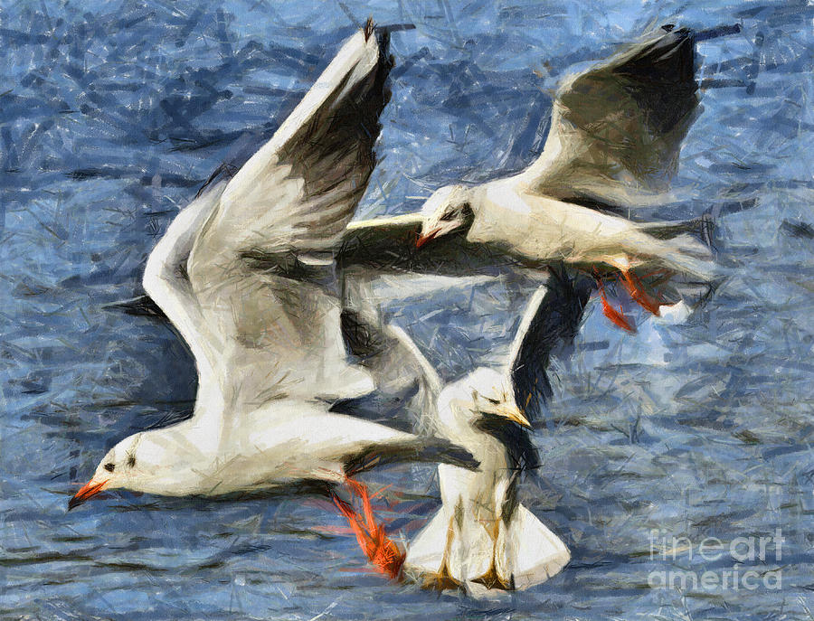 Bird Pastel - Seagulls in flight - drawing by Daliana Pacuraru