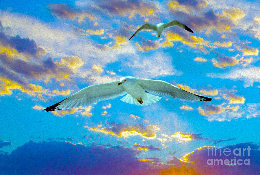Seagulls  Mixed Media by Jon Neidert