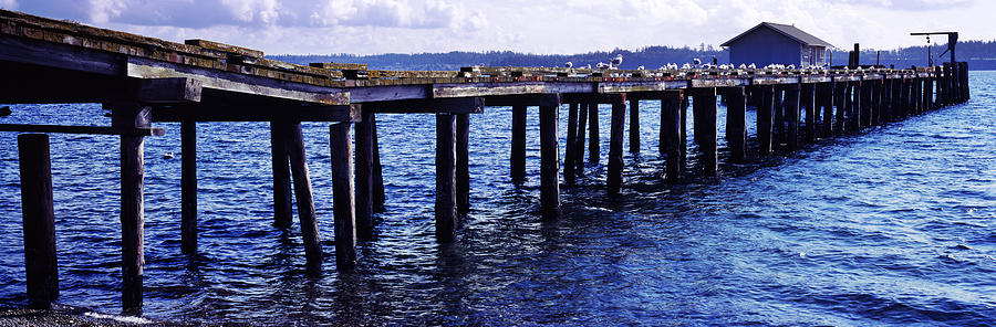 Architecture Photograph - Seagulls On A Pier, Whidbey Island by Panoramic Images
