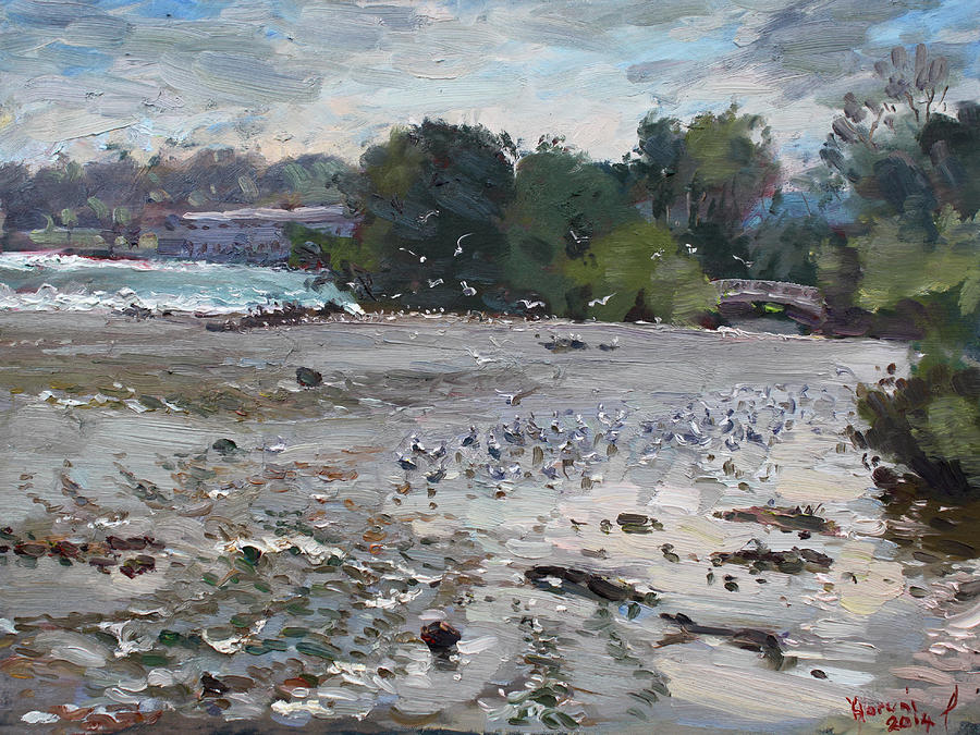 Tree Painting - Seagulls on Niagara River by Ylli Haruni