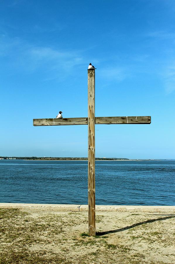 Seagulls On The Cross Photograph by Cynthia Guinn
