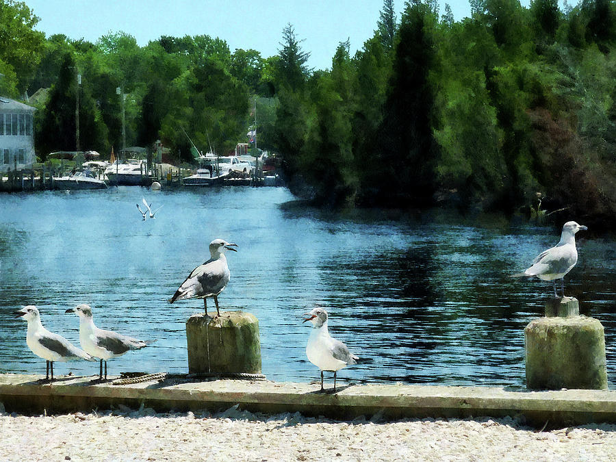 Seagulls on the Pier Photograph by Susan Savad