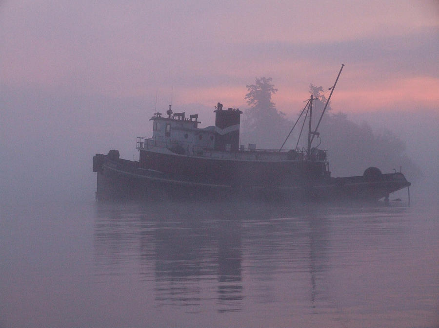 Seahorse on a Misty Morning Photograph by Mark Alan Perry