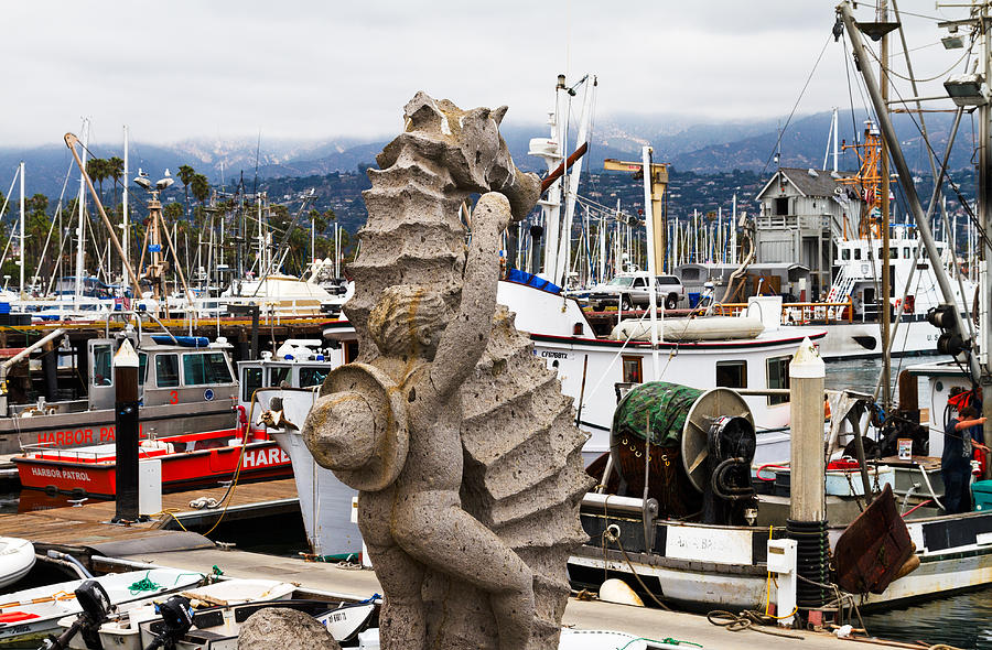 Seahorse Rider 2 Photograph by Bernard Barcos - Fine Art America