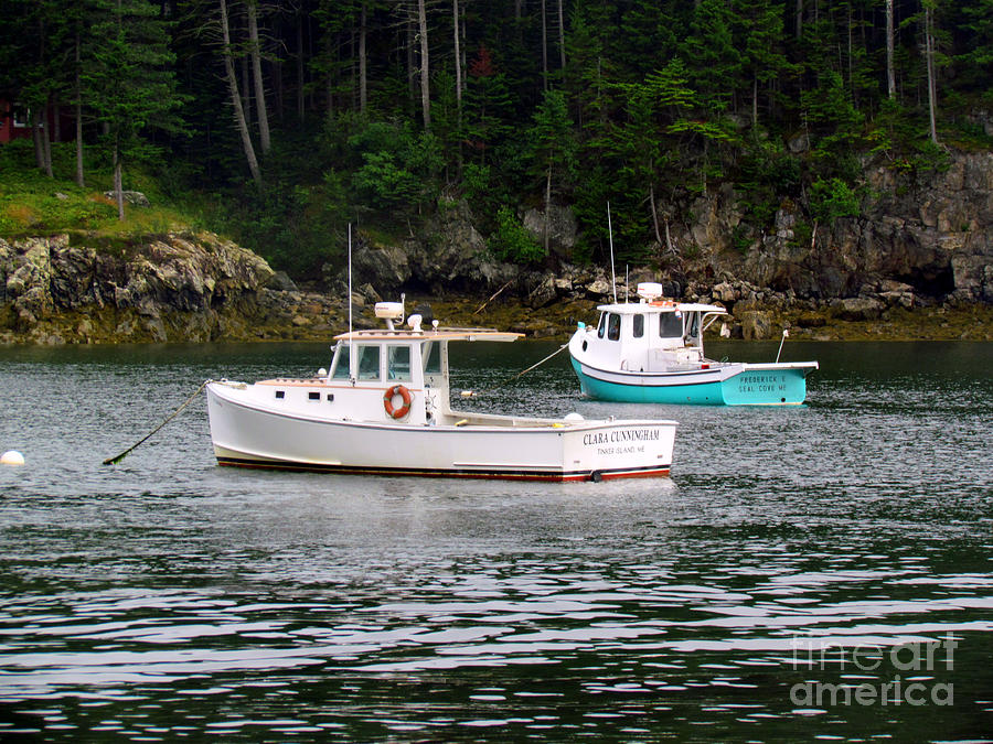 Seal Cove Lobster Boats Photograph by Elizabeth Dow