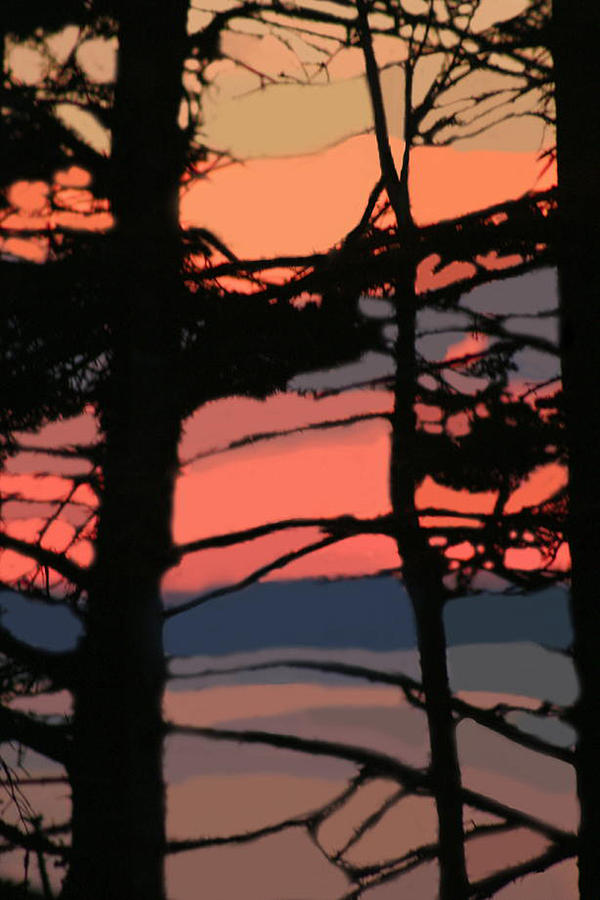 Seal Cove Sunset Photograph by Tasha ONeill