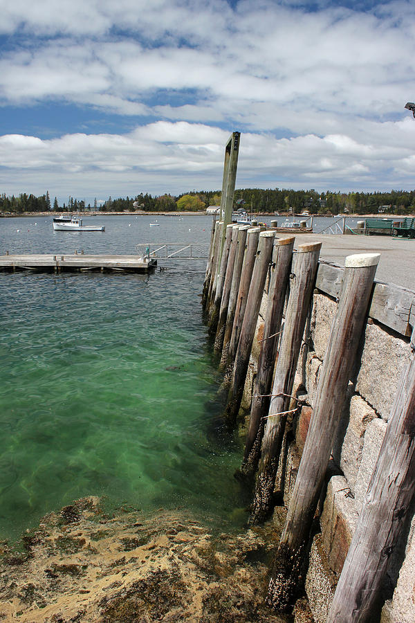 Seal Harbor Dock Photograph by Mary Bedy