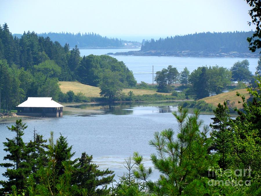 Seal Harbor Maine Photograph by Elizabeth Dow