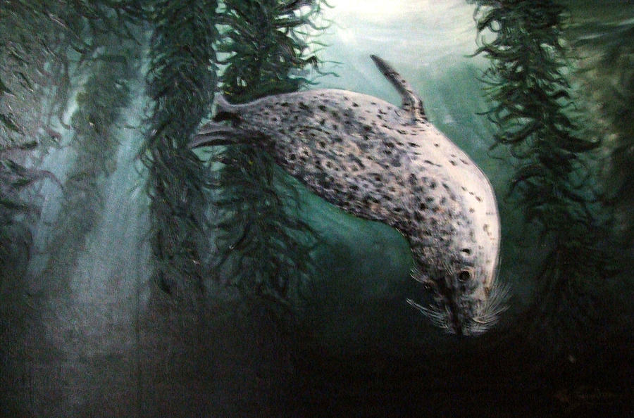 Seal in The Kelp Painting by Mackenzie Moulton