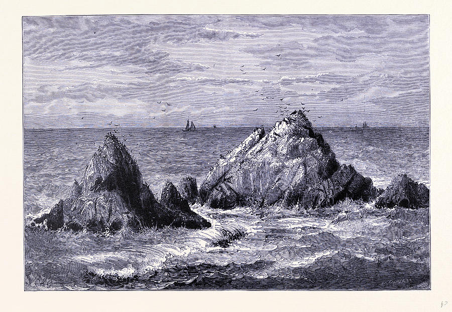 Seal Rocks United States Of America Drawing by American School - Fine ...