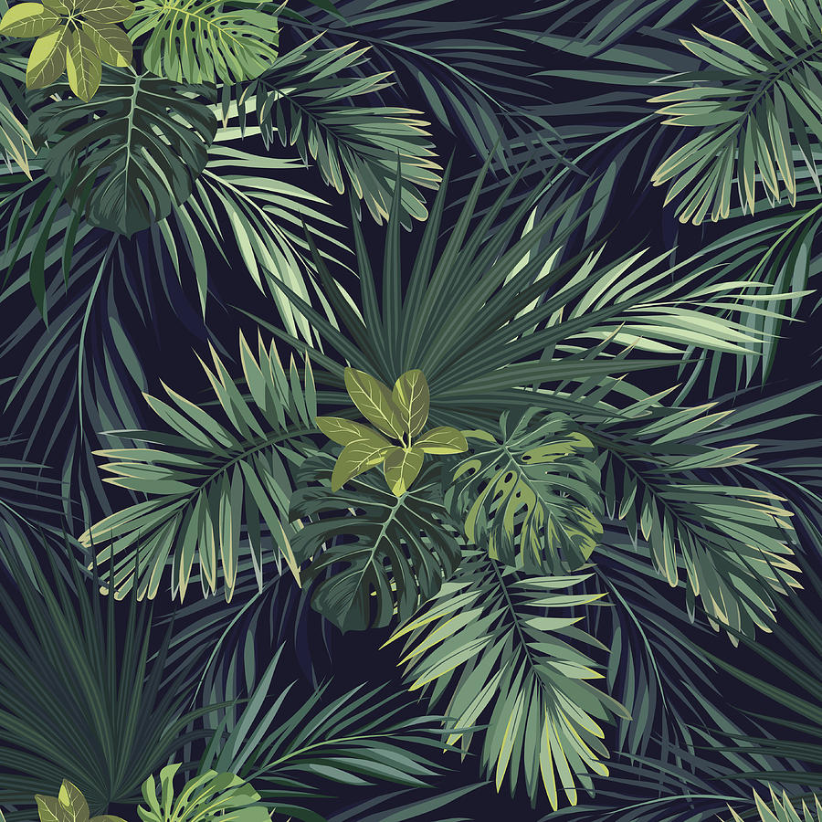 Seamless hand drawn botanical exotic vector pattern with green palm leaves on dark background Drawing by MsMoloko