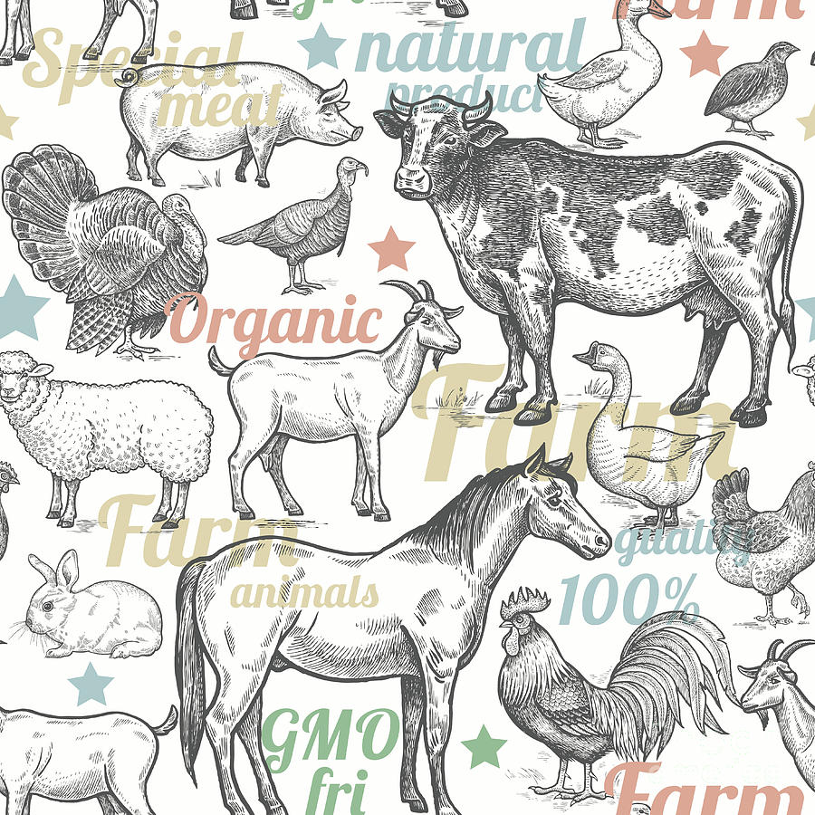 Engraving Digital Art - Seamless Pattern With Livestock by Mamita Engraving Digital Art - Seamless Pattern With Livestock by Mamita