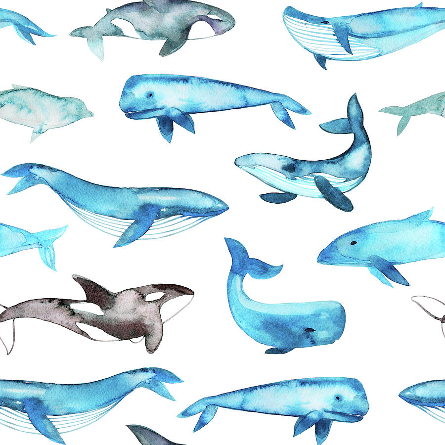 Seamless Pattern With Watercolor Whales Photograph by Asya mix