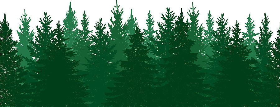 Seamless Pine Tree Forest Background Drawing by Saemilee