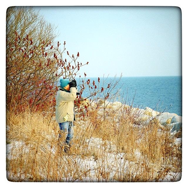 Landscape Photograph - Searching For Owls by Natasha Marco Landscape Photograph - Searching For Owls by Natasha Marco