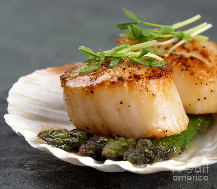 Asparagus Photograph - Seared scallops by Jane Rix