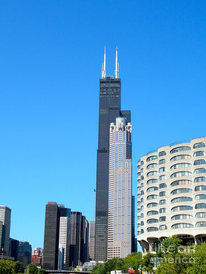 Sears Tower Photograph by Pamela Walrath