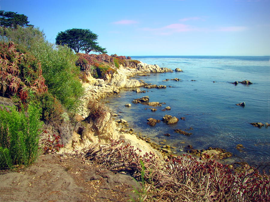 Shell Photograph - Seascape At PacificGrove by Joyce Dickens