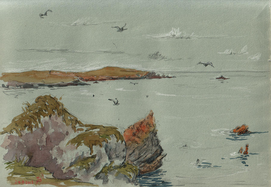 Bird Painting - Seascape atlantic ocean by Juan  Bosco