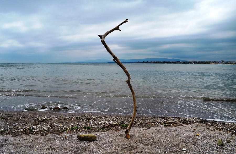 Seascape with a stick Photograph by Rumiana Nikolova
