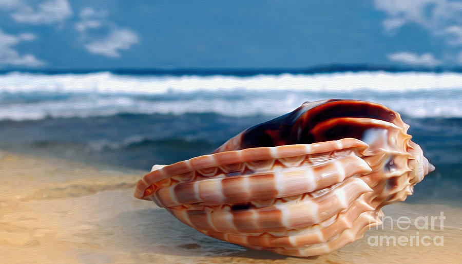 Shell Photograph - Seashell before Blue Ocean by Kaye Menner