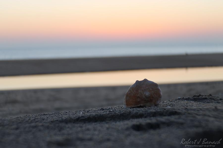 Seashell Before Sunrise Photograph by Robert Banach