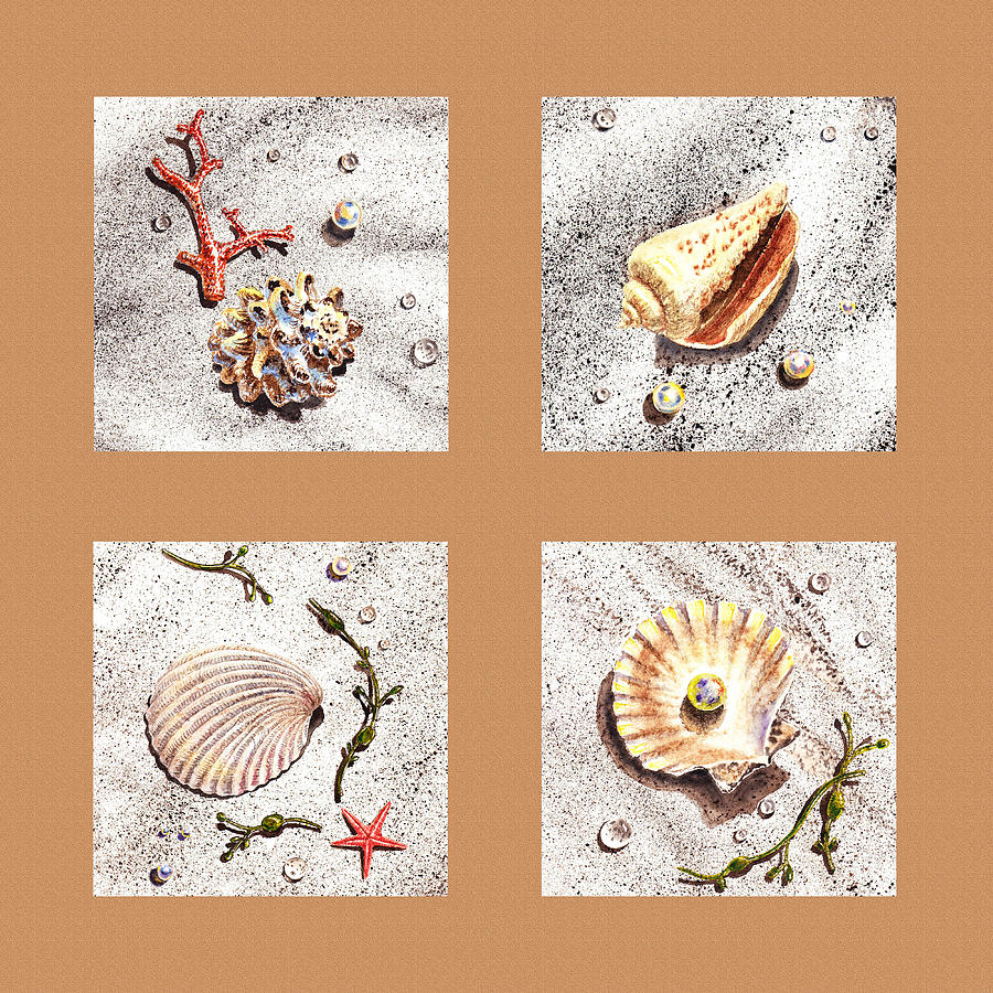 Seashell Collection II Painting by Irina Sztukowski