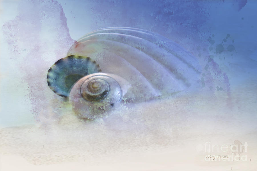 Seashell in Blue Photograph by Betty LaRue