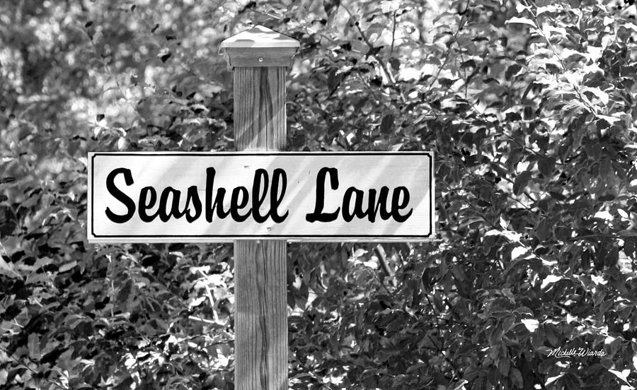 Summer Photograph - Seashell Lane II by Michelle Constantine